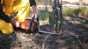 Soil Testing and Treatment in Churchville, NY