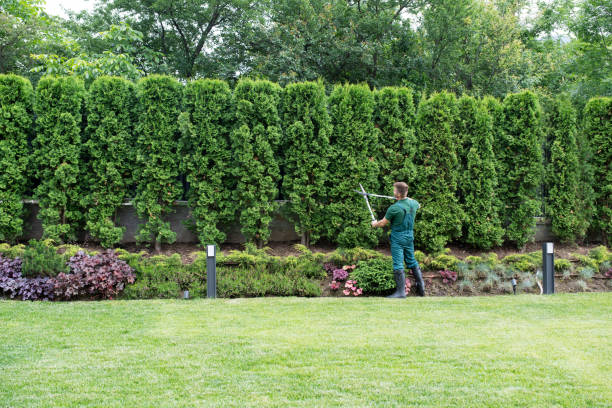 Best Artificial Turf Installation  in Churchville, NY